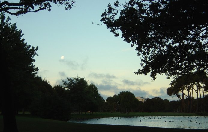 Moon visible as twilight is nearing, Christchurch