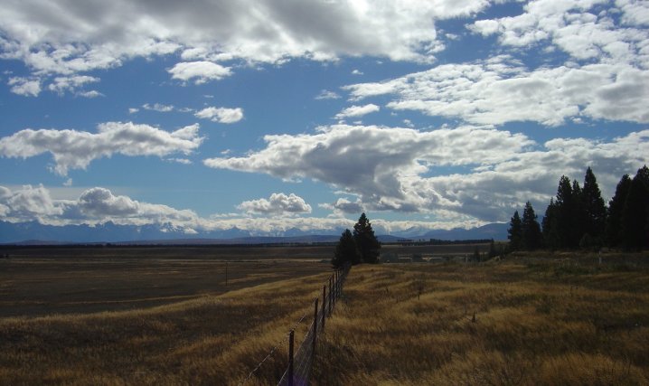 Yellow fields, fence, trees, blue sky, white clouds