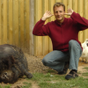 Monster pig, Fabrice, chickens