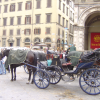 Piazza del Duomo, Firenze, horse carriage