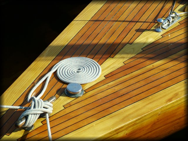 A rope neatly coiled.